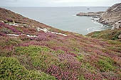 Camaret, le Sentier Ctier 